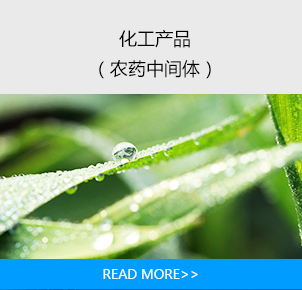 企業(yè)宗旨